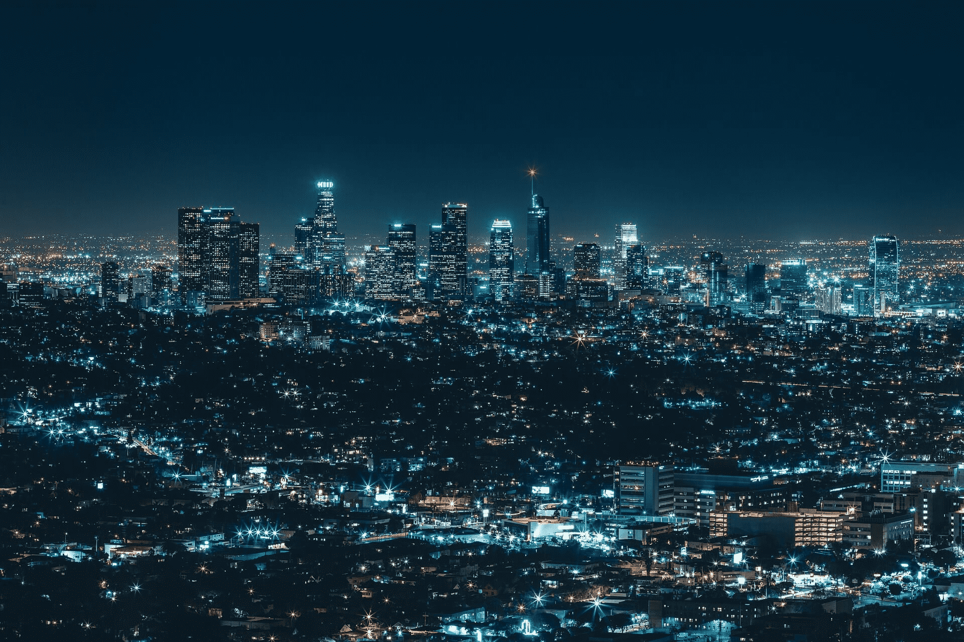 整点猫咪