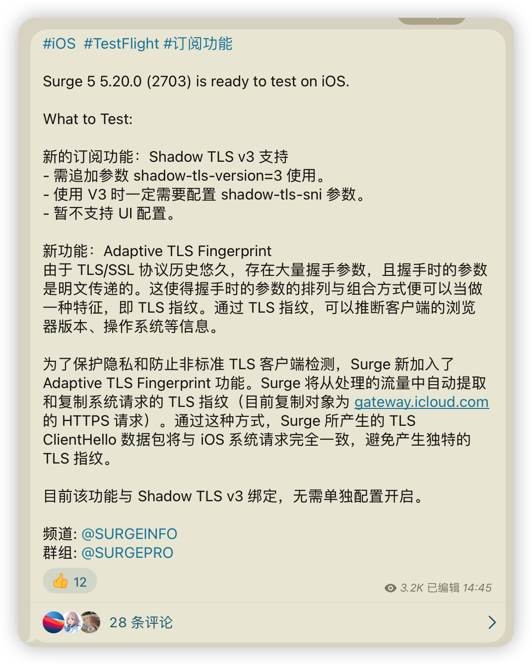 Surge && shadow-tls v3-整点猫咪